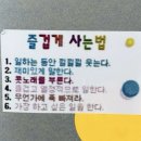 이오십일 네이버블로그
