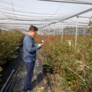 냉천농장 이미지