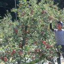 이든농장 이미지