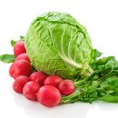 좋은내과의원 이미지