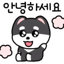 오아조 이미지