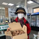 옹진해머금 이미지