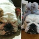 우리아이 이미지