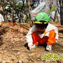 자연속으로 이미지