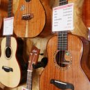 플레이 우쿨렐레 이미지