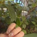 네일집 | 청주 네일샵 추천 예뻐지는집 청주본점 네일 솔직 후기