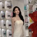 르무드헤어