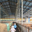 주포농장 이미지