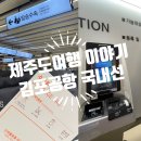 하늘바이오 | 제주도여행 김포공항 국내선 : 비행기 탑승수속 방법, 바이오등록, 여권대신 신분증