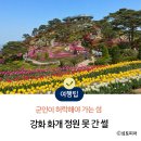 교동면-7 | 강화 화개 정원, 교동도 가볼만한곳 화개정원 솥뚜껑 못 찾은 이유