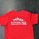 용인대 태권도 이미지