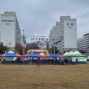 한국체대 새솔 유도 체육관 | 화순군수배 복싱 대회 후기입니다.