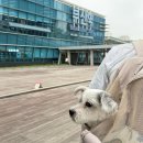 하삼동커피 덕포시장점 | 부산 / 영도 안에서만 꽉 채운 3박4일📝 (반려견동반 장소 추천)