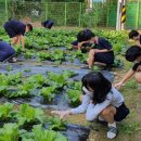 수원인터넷뉴스