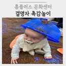 홈플러스 문화센터 지니톡톡 당근 밭으로 가요 결명자 촉감놀이 후기