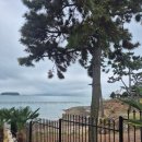 요기가펜션 | 전객실 통창! 진짜 바다랑 맞닿은 남해오션뷰펜션 요기가펜션 후기