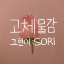 주식회사 알마로꼬 네이버블로그