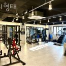 몸의형태 이미지