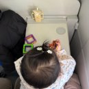 20개월 아기 육아일상｜아기변기, 수료식, 유아동반석 기차 후기와 맥포머스 장난감 추천