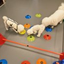 헬로멍뭉 이미지