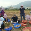 하빈면 행정복지센터 이미지