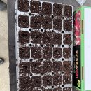 동규농장 이미지