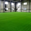 실내야구장 이미지