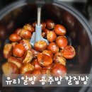 공주밤농장 | 달콤함 끝판왕! 유리알밤 공주밤 포르단밤 후기, 겨울간식으로 강추