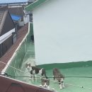 포차천국 석남점 이미지