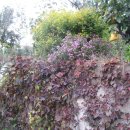 놀부농장 이미지