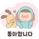 원가일식 이미지