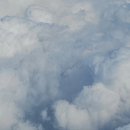 하늘멍가 이미지