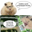 블루오션PC방 | [2024년] 12월의 일상