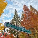 천안 근교가볼만한곳 ㅡ아산 피나클랜드 국화축제 이미지