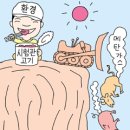 머리마당 - 강릉시 | 머리마당