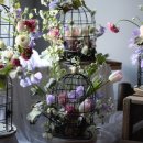 꽃 클래스 화훼장식기능사 이미지