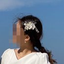 파인트리비즈 | Wedding 3. 제주도 셀프웨딩촬영 아부오름, 김녕해수욕장 강추!