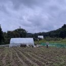 고멧캠핑장 이미지