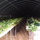 진남 농장 이미지