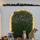 떼굴떼굴 | [청주 공간대여] 산남동 '떼굴떼굴' 내돈내산 후기, 우리 아이 6살 생일파티 대성공!