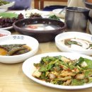 맛소문오리불고기 Daum카페