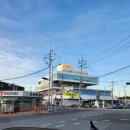 미스터피자 영도점 | 부산 영도 미피스토어 피아크 미피 콜라보 스토어 소품샵