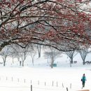 쉬어갑시다 이미지