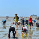 고창직매장