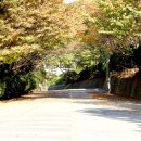 부산외국어고등학교 이미지