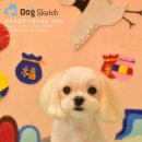 Happy 애견샵 이미지