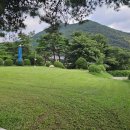 7/29 마원 성지 옹벽 공사 및 마원, 여우목 성지 제초 이미지
