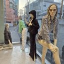 유한회사 뉴에코 | 홍대여자옷 브랜드｜센토르 쇼룸에서 26 SS신상 옷 쇼핑하기