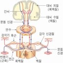 피트니스 얼티밋 이미지