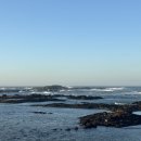 코in제주 이미지